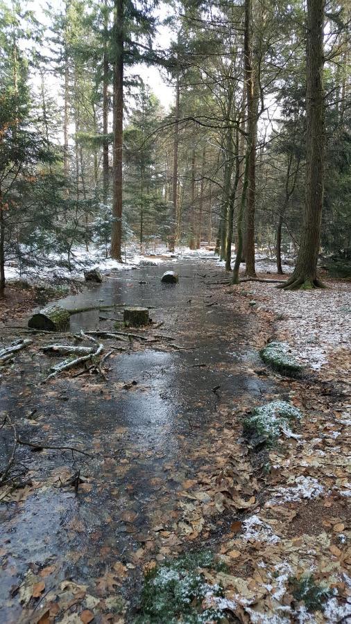 Villa Reewold Veluwe Putten Exterior foto